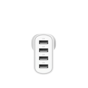 Cygnett PowerPlus 24W Multiport Wall Charger - White